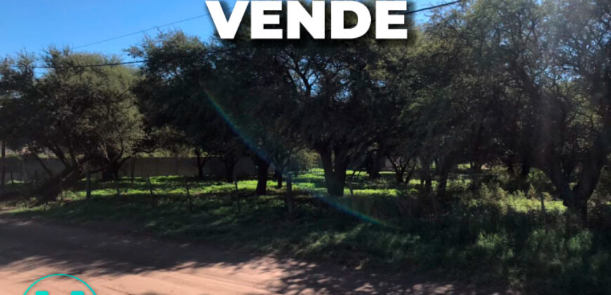 Lote de 25,75 x 43,40 S/ Corbatita (Toay)