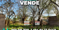 WILDE 730 -Lote de 12,5×40 (500m2)