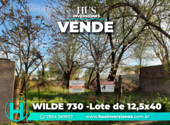 WILDE 730 -Lote de 12,5×40 (500m2)