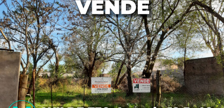 WILDE 730 -Lote de 12,5×40 (500m2)
