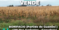BONIFACIO  (Partido de Guaminí) – 400 hectáreas agrícolas-ganaderas.