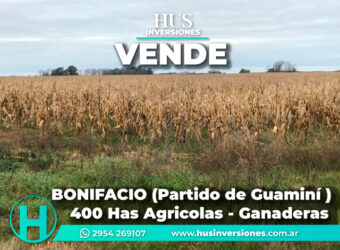 BONIFACIO  (Partido de Guaminí) – 400 hectáreas agrícolas-ganaderas.
