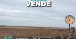 WINIFREDA – 96 Has Agrícolas – Ganaderas