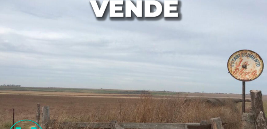 WINIFREDA – 96 Has Agrícolas – Ganaderas