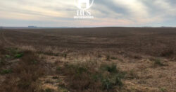 WINIFREDA – 96 Has Agrícolas – Ganaderas