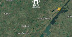 BONIFACIO  (Partido de Guaminí) – 400 hectáreas agrícolas-ganaderas.