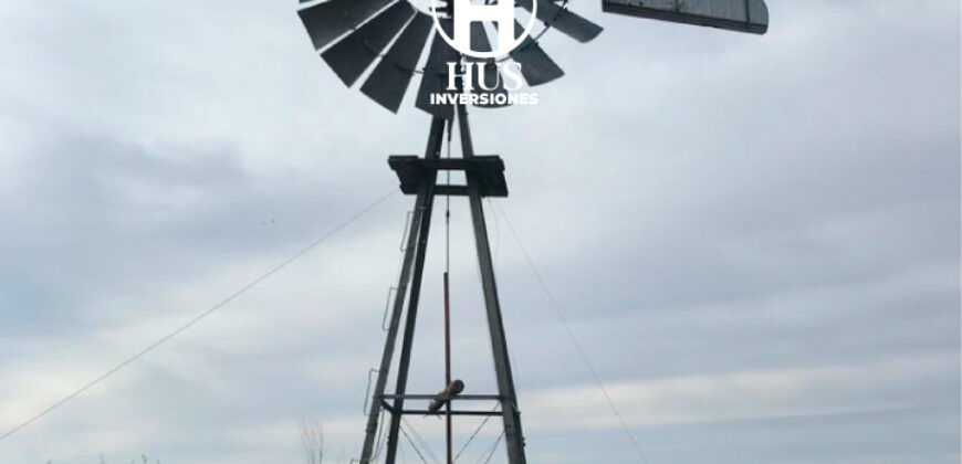 WINIFREDA – 96 Has Agrícolas – Ganaderas