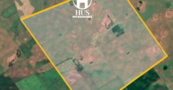 BONIFACIO  (Partido de Guaminí) – 400 hectáreas agrícolas-ganaderas.