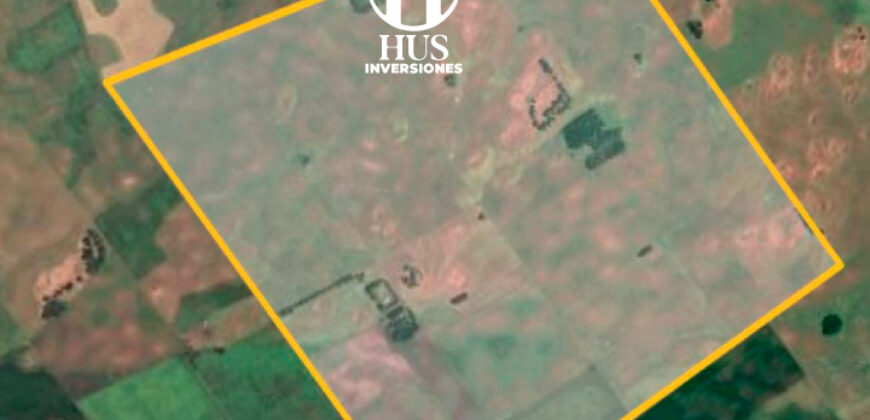 BONIFACIO  (Partido de Guaminí) – 400 hectáreas agrícolas-ganaderas.