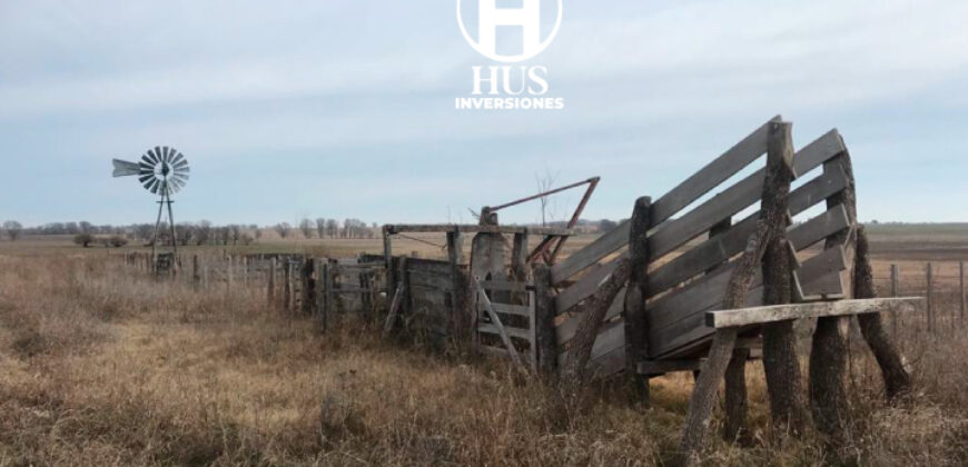 WINIFREDA – 96 Has Agrícolas – Ganaderas