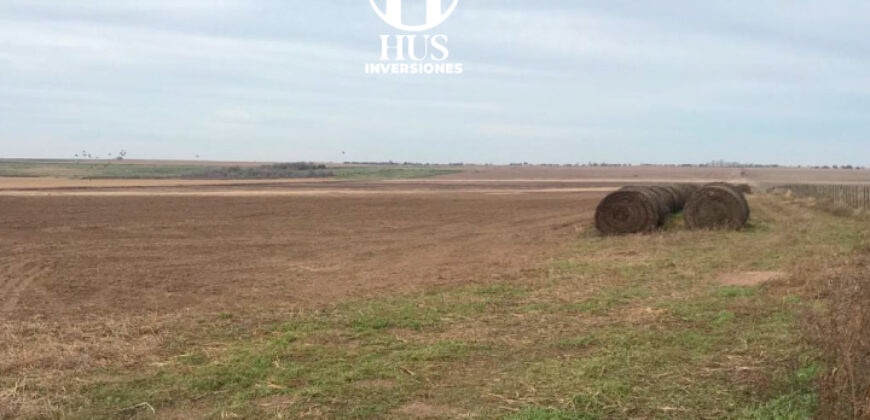 WINIFREDA – 96 Has Agrícolas – Ganaderas