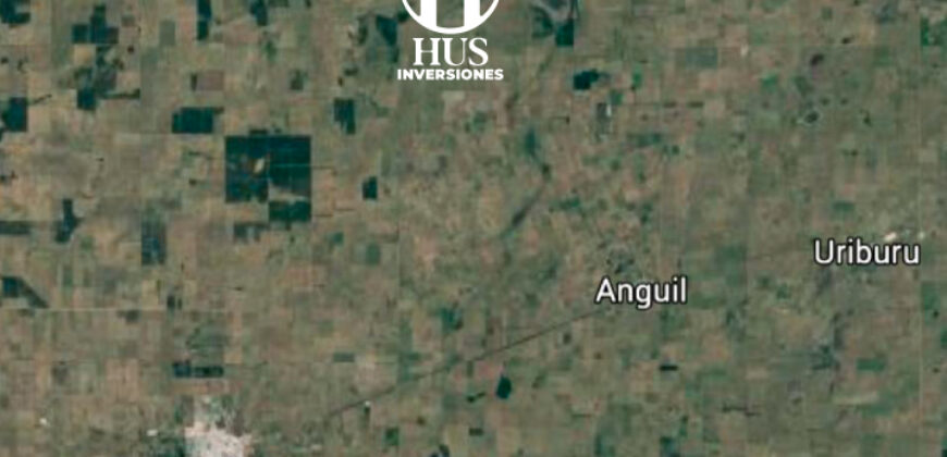 WINIFREDA – 96 Has Agrícolas – Ganaderas