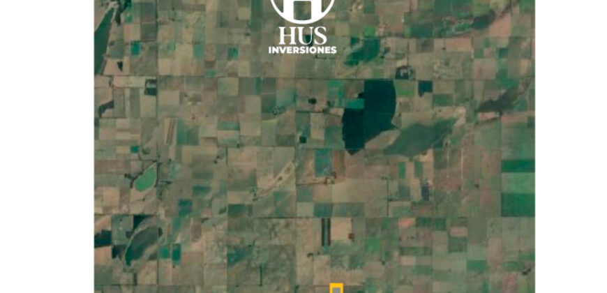 WINIFREDA – 96 Has Agrícolas – Ganaderas