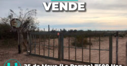 25 de Mayo (La Pampa) 7500 Has 