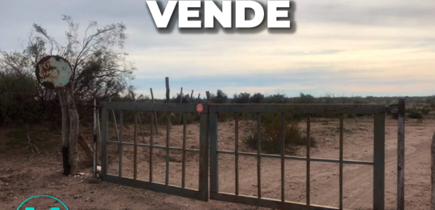 25 de Mayo (La Pampa) 7500 Has 