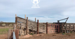 25 de Mayo (La Pampa) 7500 Has 