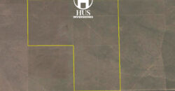 25 de Mayo (La Pampa) 7500 Has 