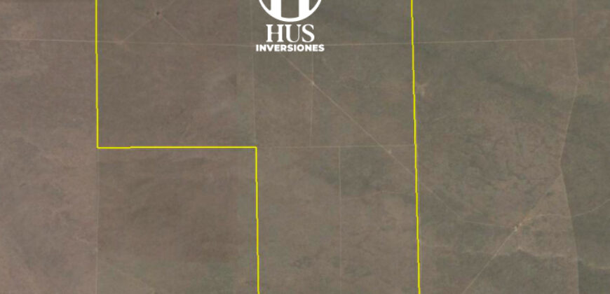 25 de Mayo (La Pampa) 7500 Has 