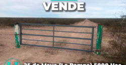 25 de Mayo (La Pampa)  5000 Has 