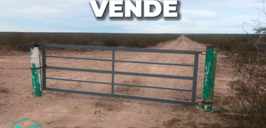 25 de Mayo (La Pampa)  5000 Has 