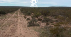 25 de Mayo (La Pampa)  5000 Has 