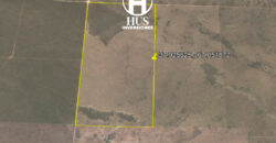 25 de Mayo (La Pampa)  5000 Has 