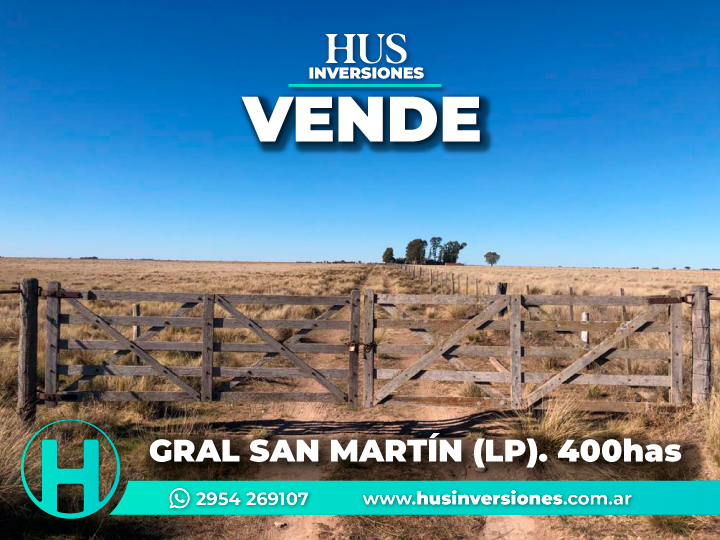 GRAL SAN MARTÍN (LP). 400has agrícolas-ganaderas