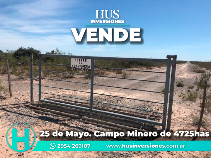 25 de Mayo (LP). 4725has de Campo Minero