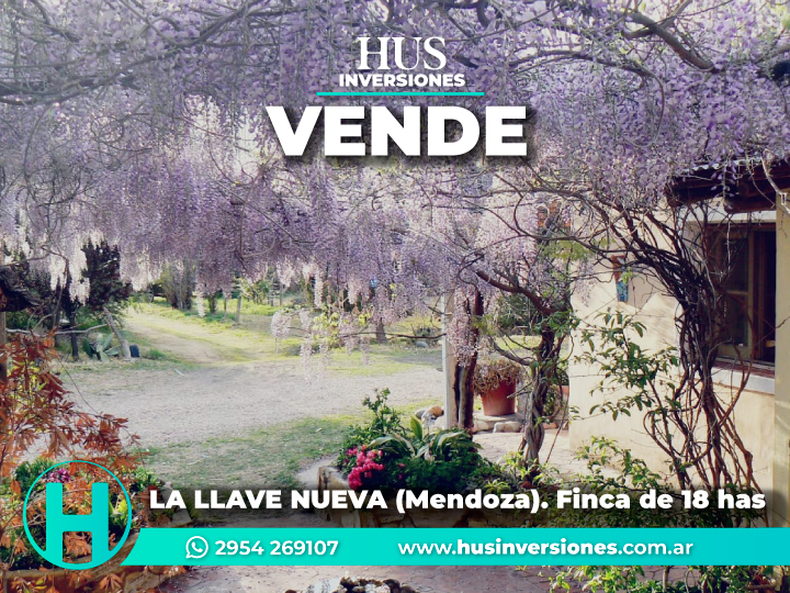 LA LLAVE NUEVA (Mendoza). Finca de 18 hectáreas