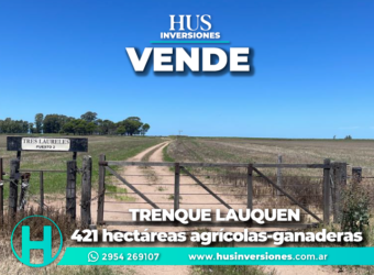 TRENQUE LAUQUEN. 421 hectáreas agrícolas-ganaderas