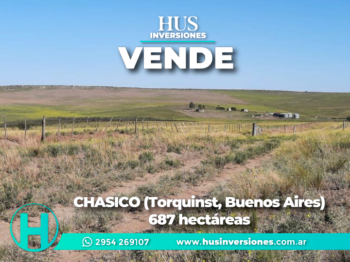 CHASICO (Partido de Torquinst, Buenos Aires). 687 hectáreas