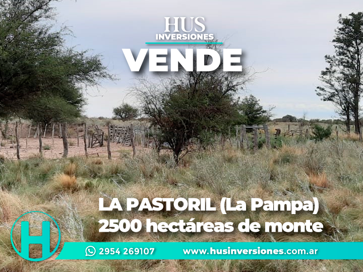 LA PASTORIL (La Pampa). 2500 hectáreas de monte