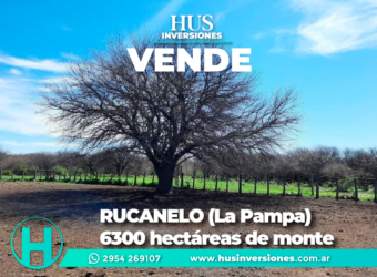 RUCANELO (La Pampa) 6300 hectáreas de monte