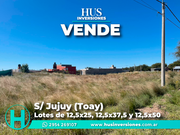 S/ Jujuy (Toay). Lotes de 12,5×25, 12,5×37,5 y 12,5×50