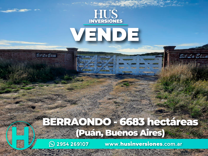 BERRAONDO (Puán, Buenos Aires). 6683 hectáreas