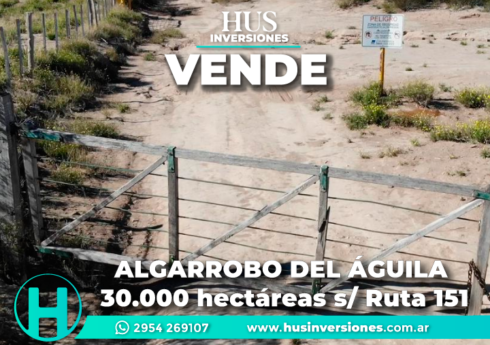 ALGARROBO DEL ÁGUILA. 30.000 hectáreas s/ Ruta 151 ALGARROBO DEL ÁGUILA. 30.000 hectáreas s/ Ruta 151