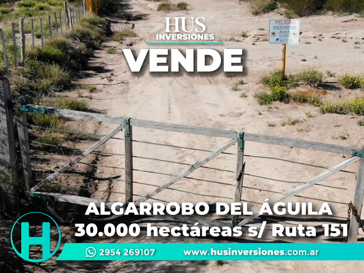 ALGARROBO DEL ÁGUILA.  30.000 hectáreas s/ Ruta 151