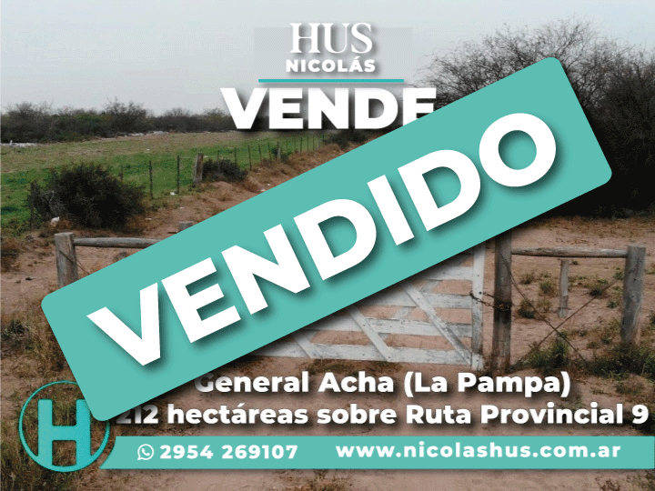 General Acha (La Pampa). 212 hectáreas sobre Ruta Provincial 9