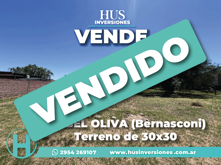 ISABEL OLIVA (Bernasconi). Terreno de 30×30