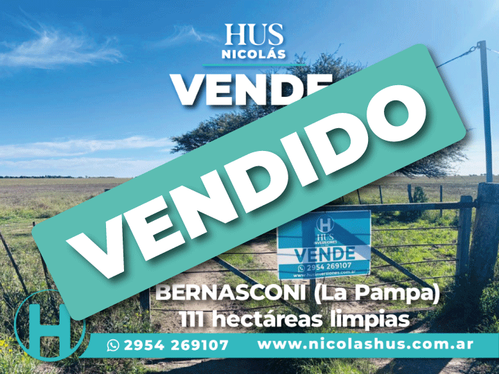 BERNASCONI (La Pampa) 111 hectáreas limpias
