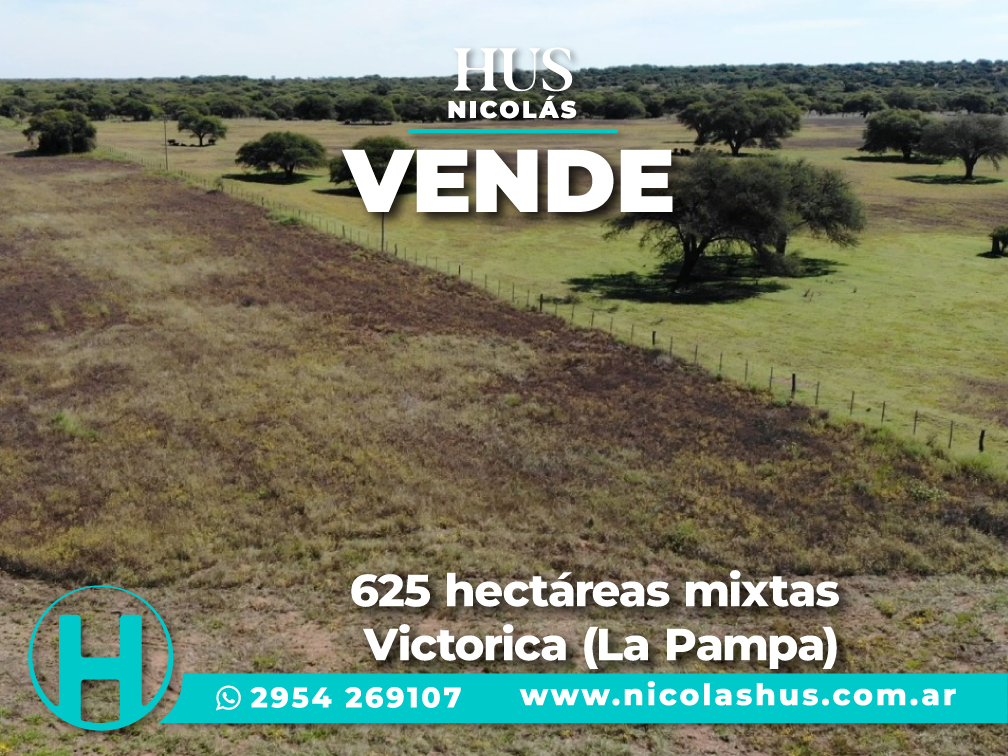 625 hectáreas mixtas  Victorica (La Pampa)