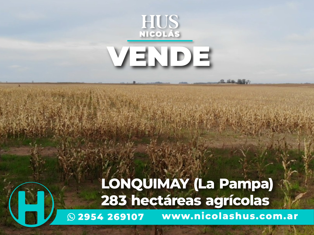 LONQUIMAY (La Pampa). 283 hectáreas agrícolas