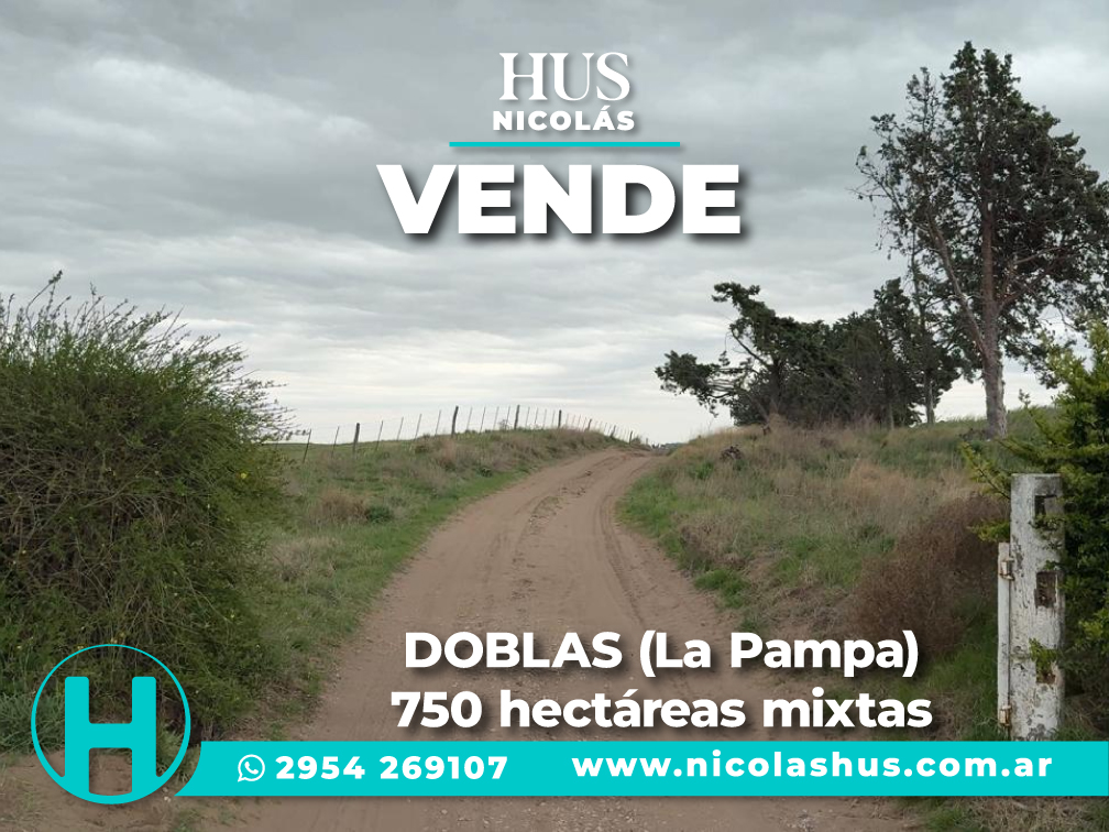 DOBLAS (La Pampa) 750 hectáreas mixtas