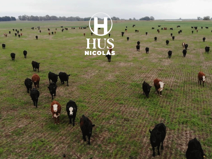 DOBLAS (La Pampa) 750 hectáreas mixtas