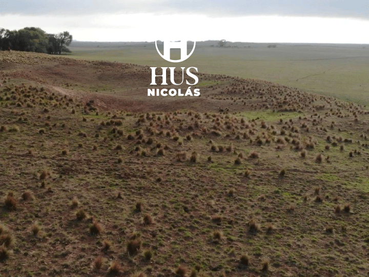 DOBLAS (La Pampa) 750 hectáreas mixtas