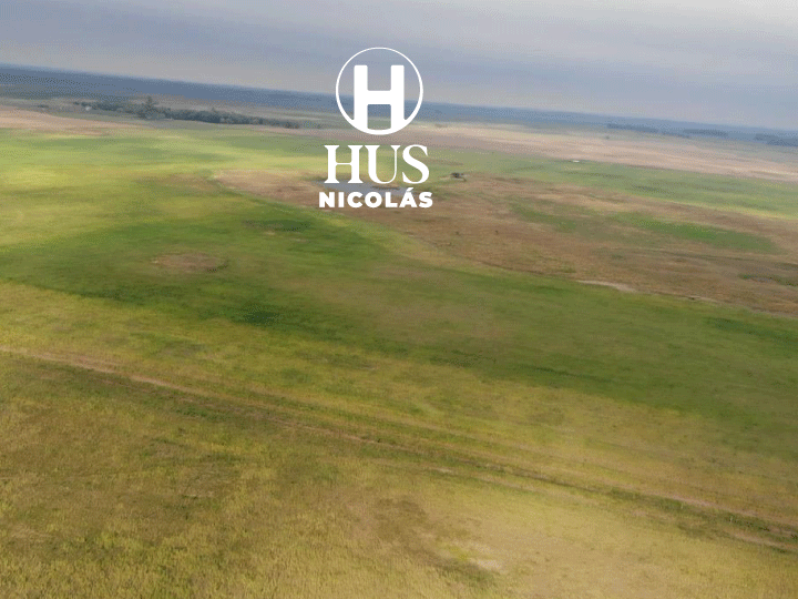 DOBLAS (La Pampa) 750 hectáreas mixtas