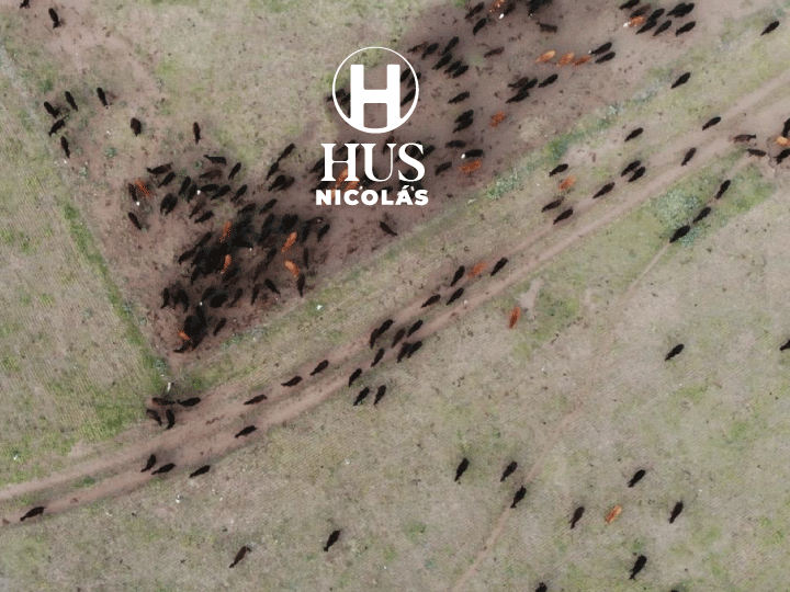 DOBLAS (La Pampa) 750 hectáreas mixtas