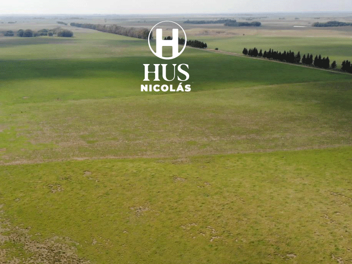 DOBLAS (La Pampa) 750 hectáreas mixtas