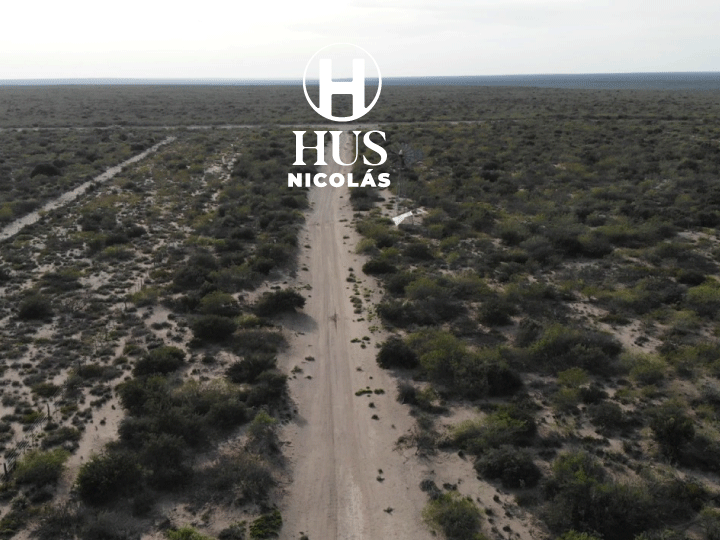 LA REFORMA (La Pampa). 28.400 hectáreas de monte