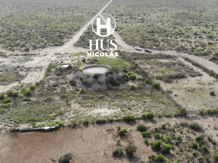 LA REFORMA (La Pampa). 28.400 hectáreas de monte